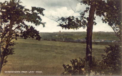 17. View from Lady wood